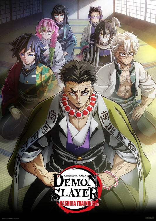 Japanese Animation TV Ranking, May 27-June 2