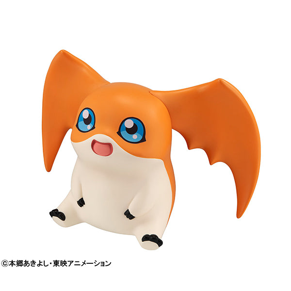 Lookup Digimon Adventure PATAMON - COMING SOON