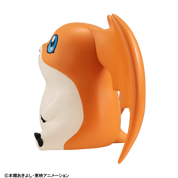 Lookup Digimon Adventure PATAMON - COMING SOON
