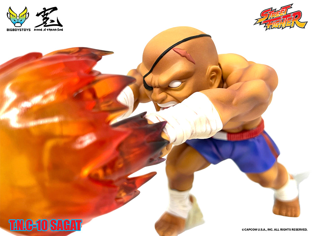 Street Fighter TNC-10 Sagat – BALD ERHÄLTLICH