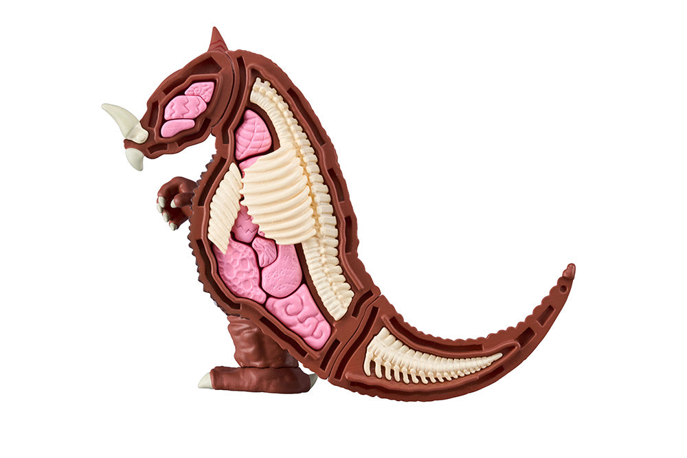 KAITAI PUZZLE FANTASY GOMORA - COMING SOON