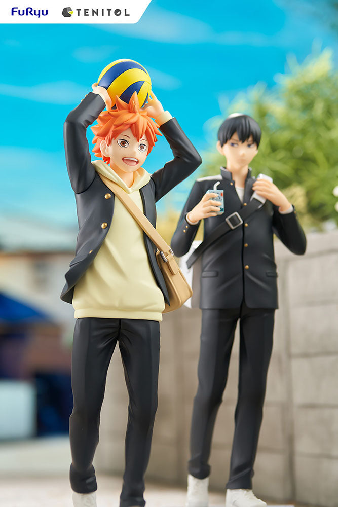 TENITOL HINATA SHOYO - COMING SOON