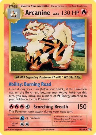 Arcanine 018/108 - XY Evolutions