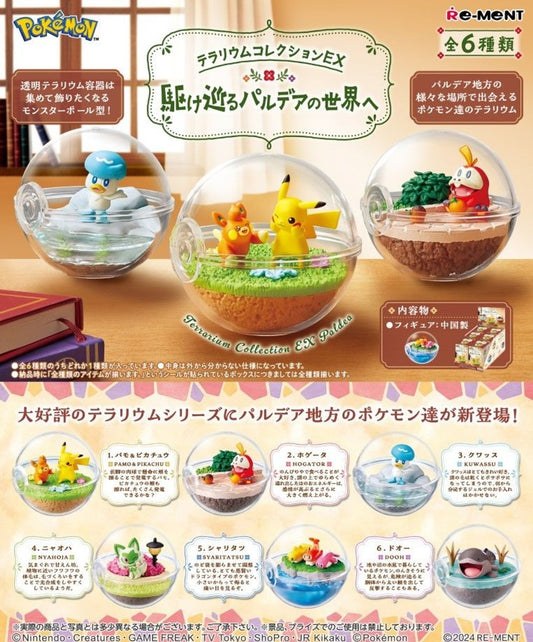 Pokemon Terrarium Collection EX Exploring Paldea Blind Box (1 Blind Box)