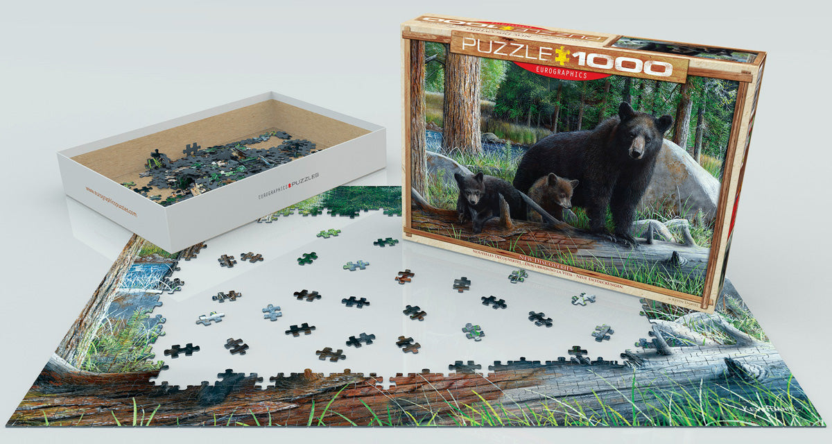 Puzzle: Great American Outdoors - New Discoveries by Kevin Daniel