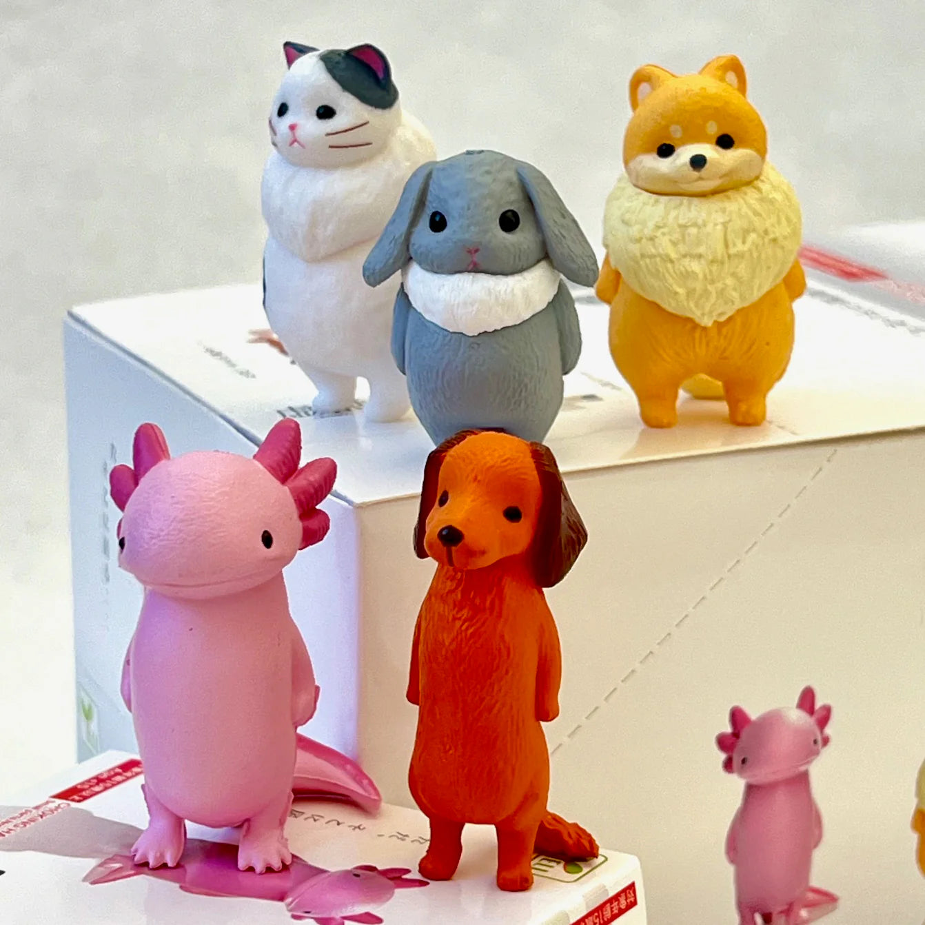 Kyomu Void Animals Blind Box (1 Blind Box)