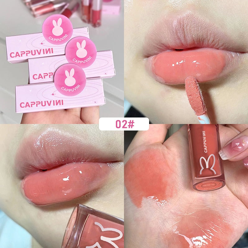 CAPPUVIMI Moisturizing Tinted Lip Gloss