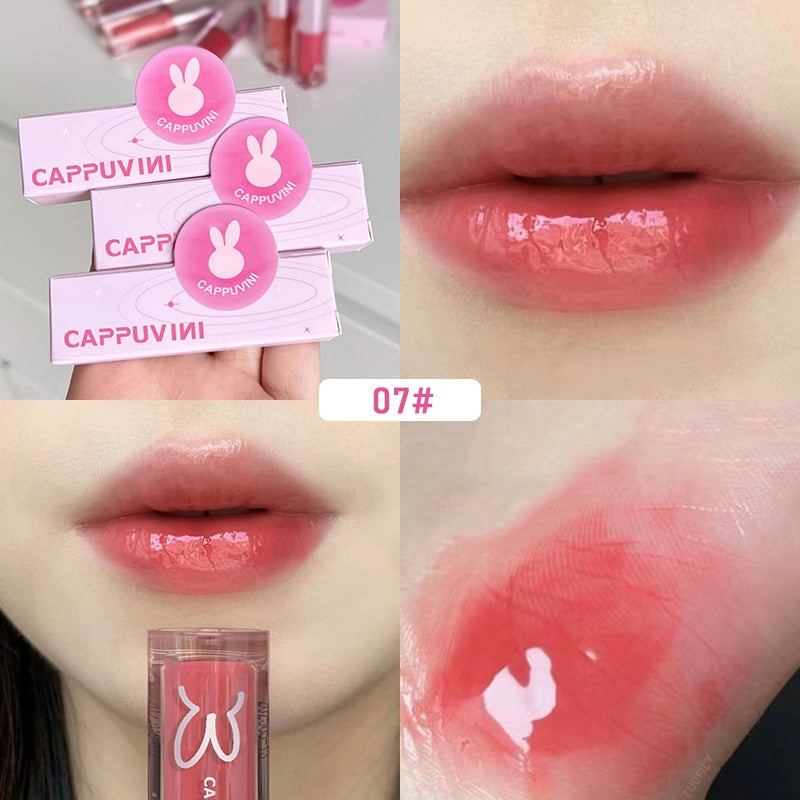 CAPPUVIMI Moisturizing Tinted Lip Gloss