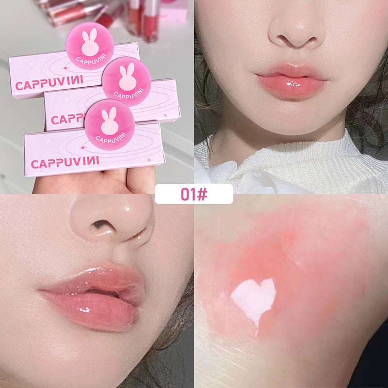 CAPPUVIMI Moisturizing Tinted Lip Gloss