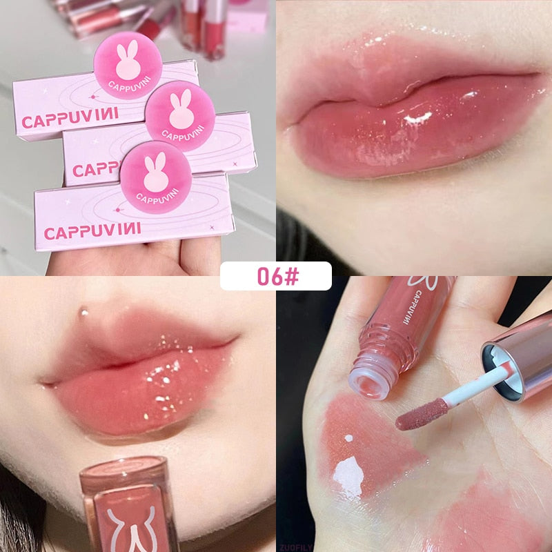 CAPPUVIMI Moisturizing Tinted Lip Gloss