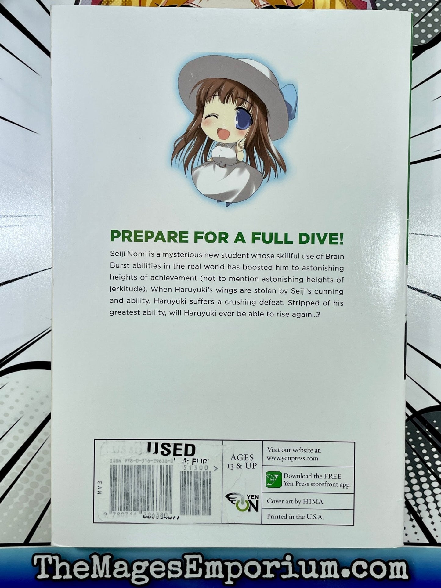 Accel World Flight Toward A Blue Sky Vol 4 Light Novel
