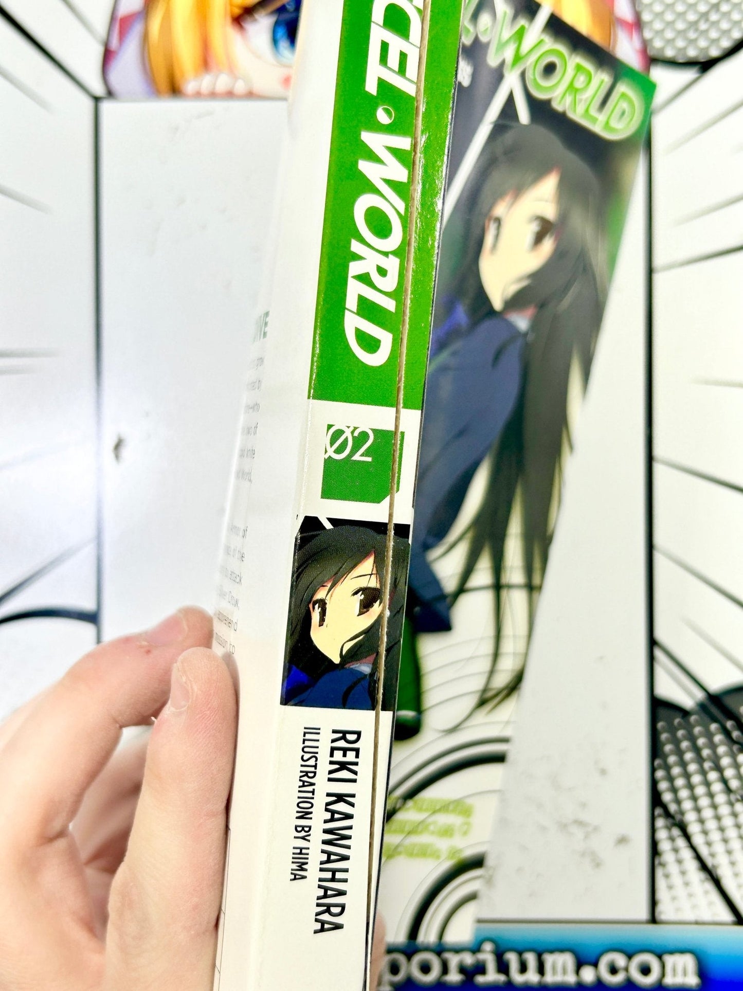 Accel World Vol 2 Light Novel