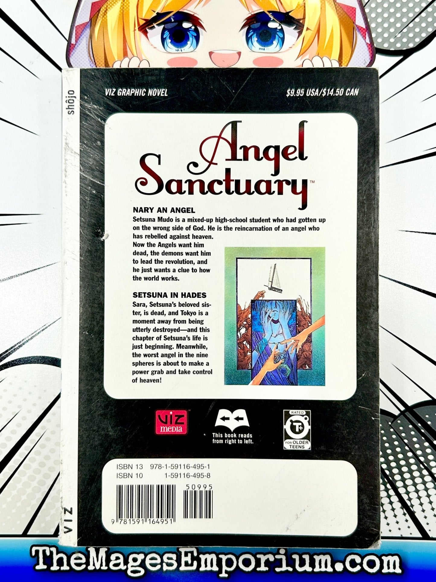 Angel Sanctuary Vol 4