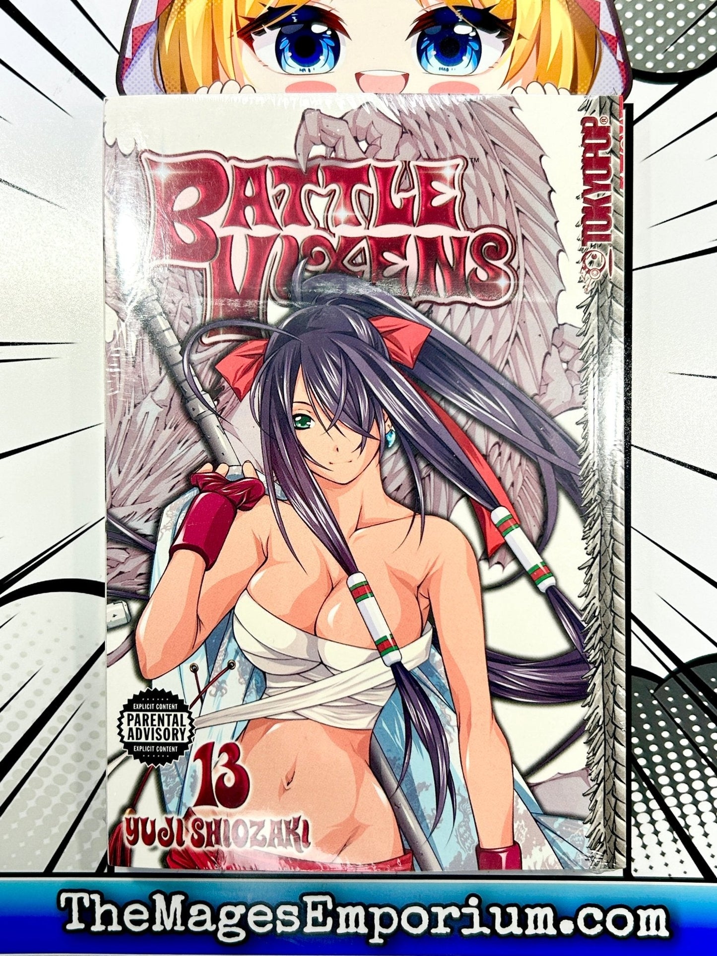 Battle Vixens Vol 13