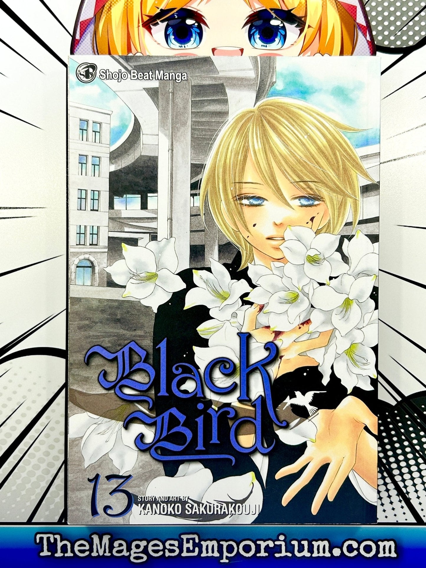 Black Bird Vol 13