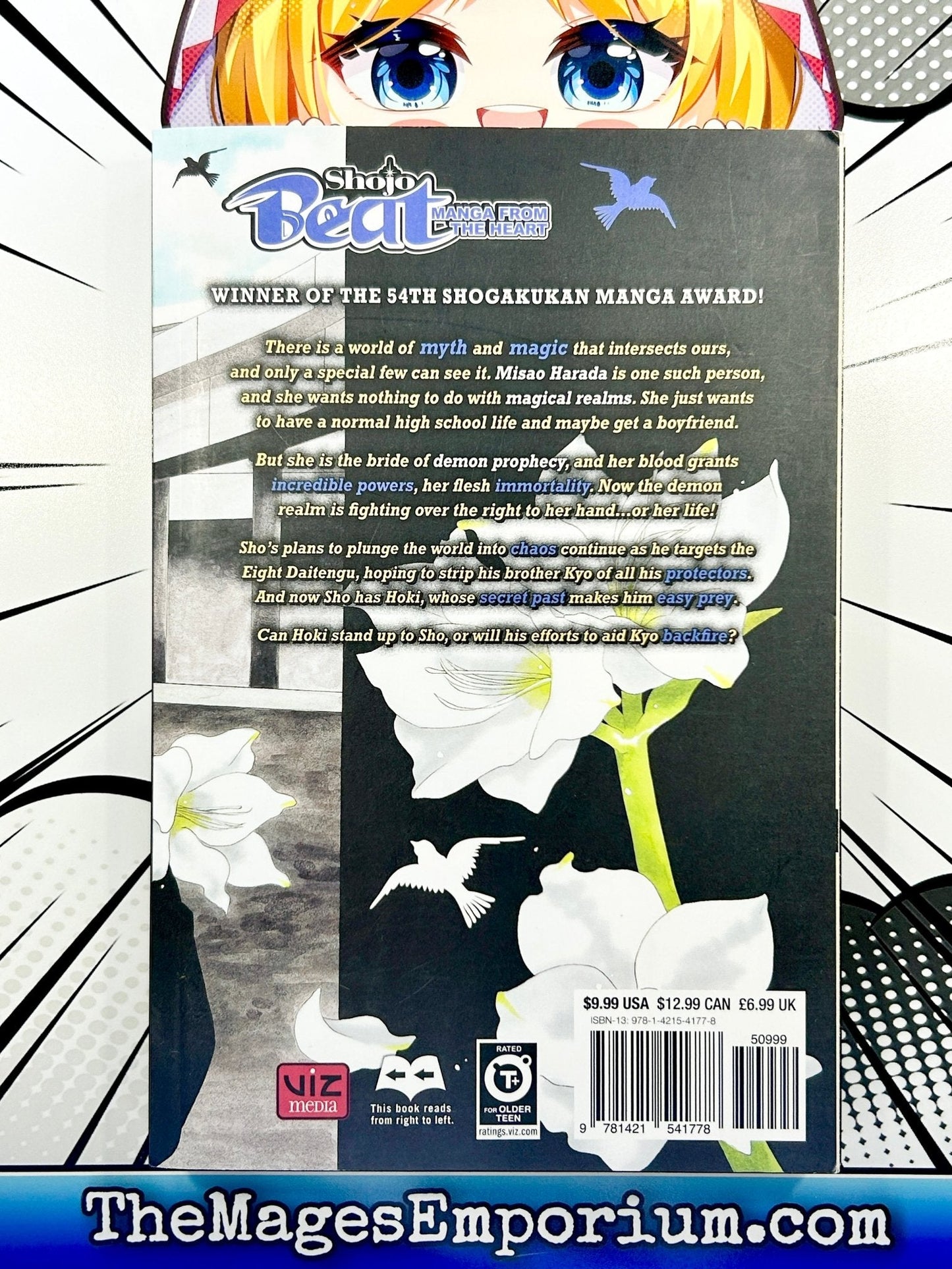 Black Bird Vol 13