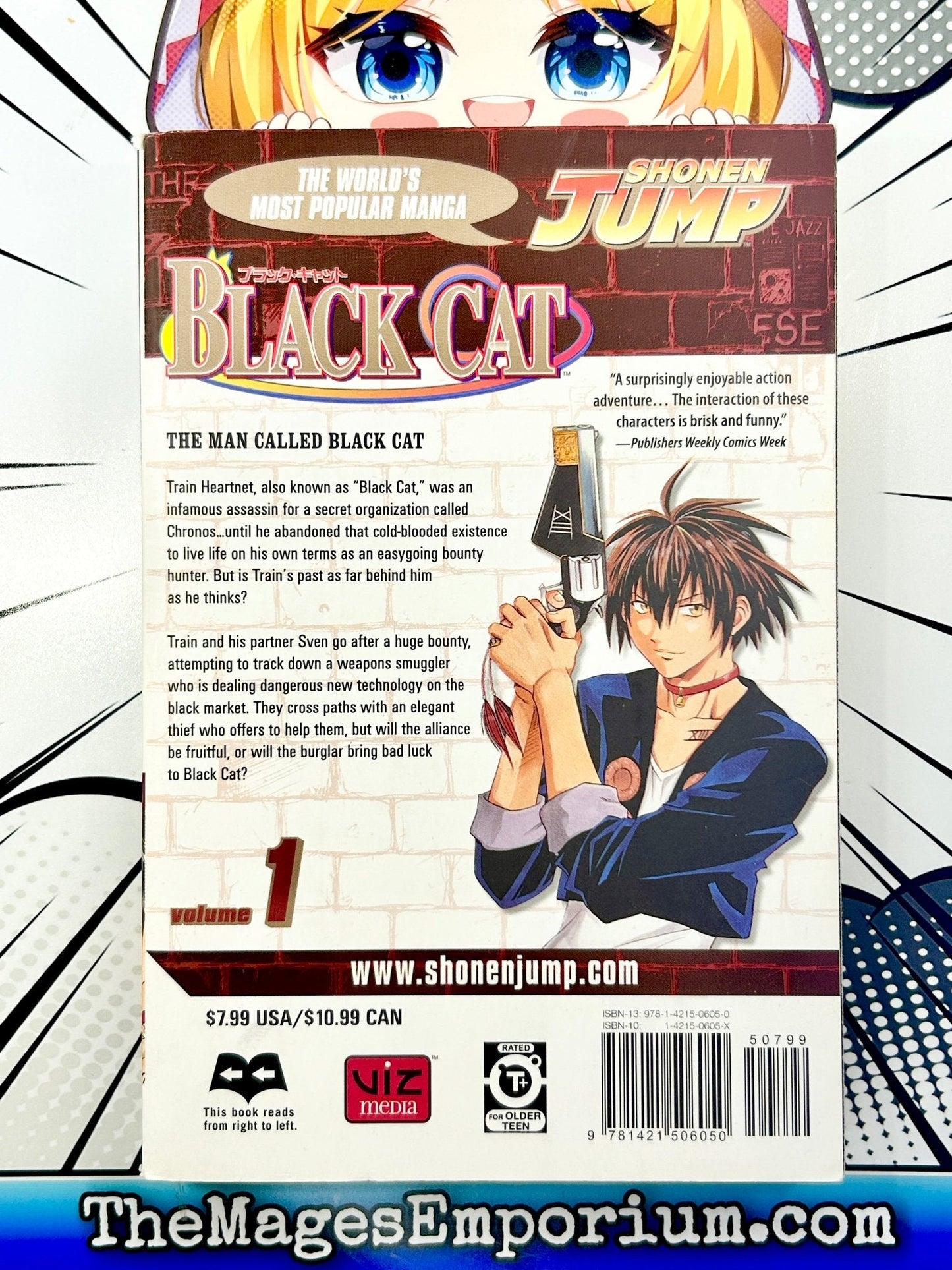 Black Cat Vol 1