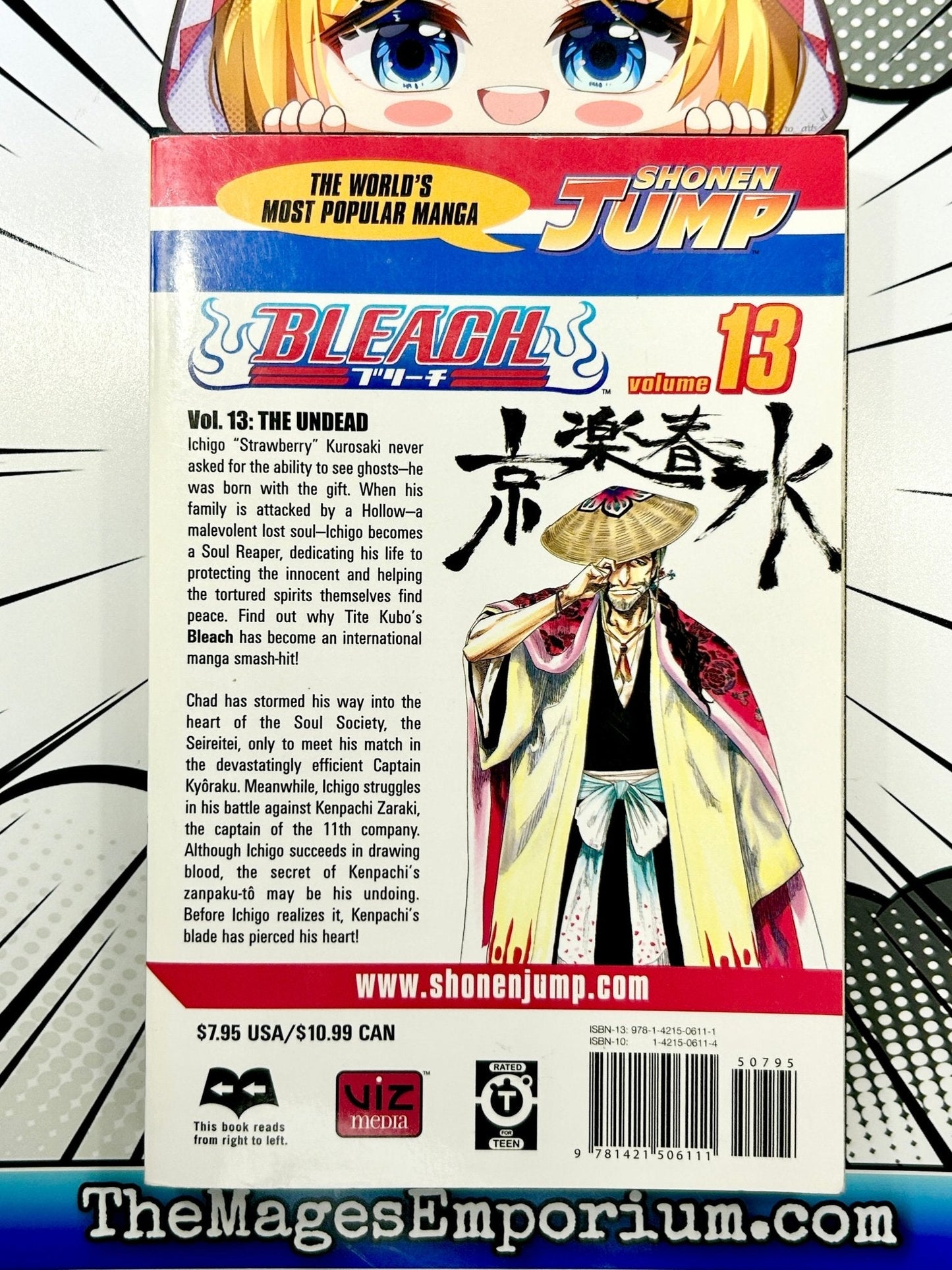 Bleach Vol 13
