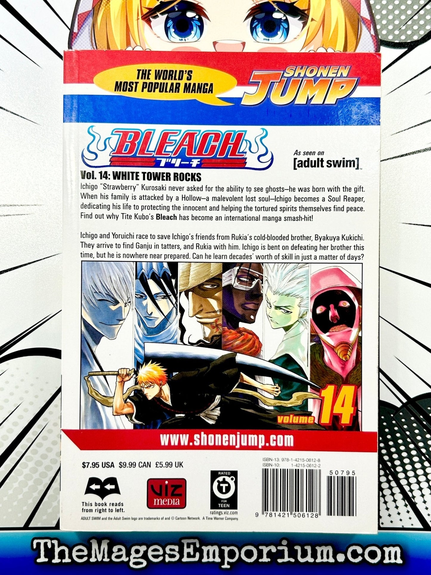 Bleach Vol 14