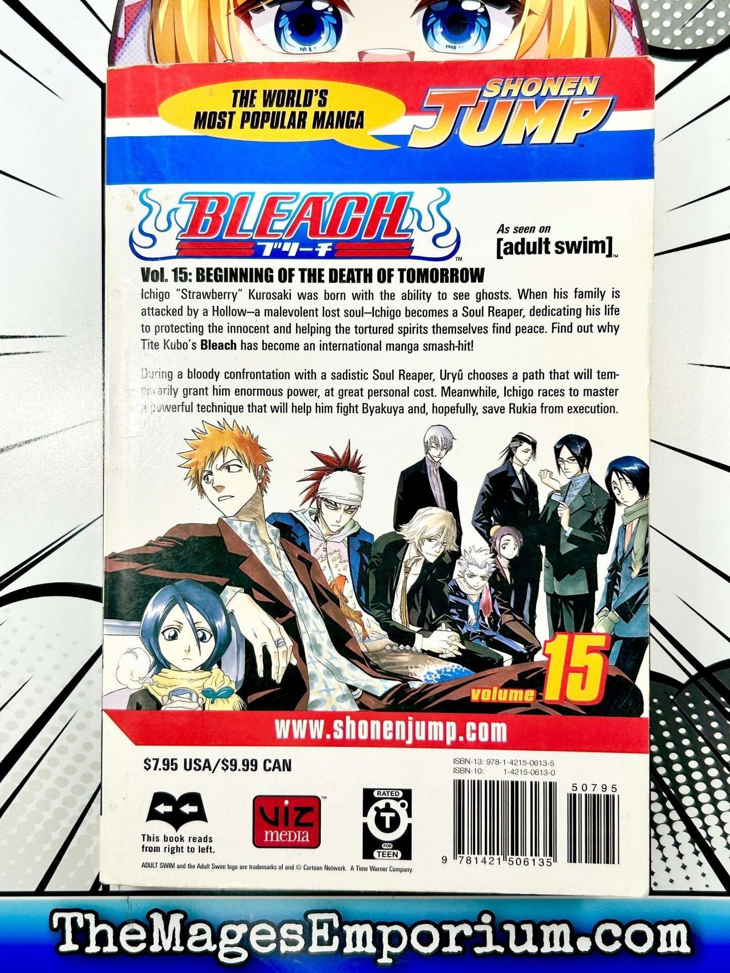 Bleach Vol 15
