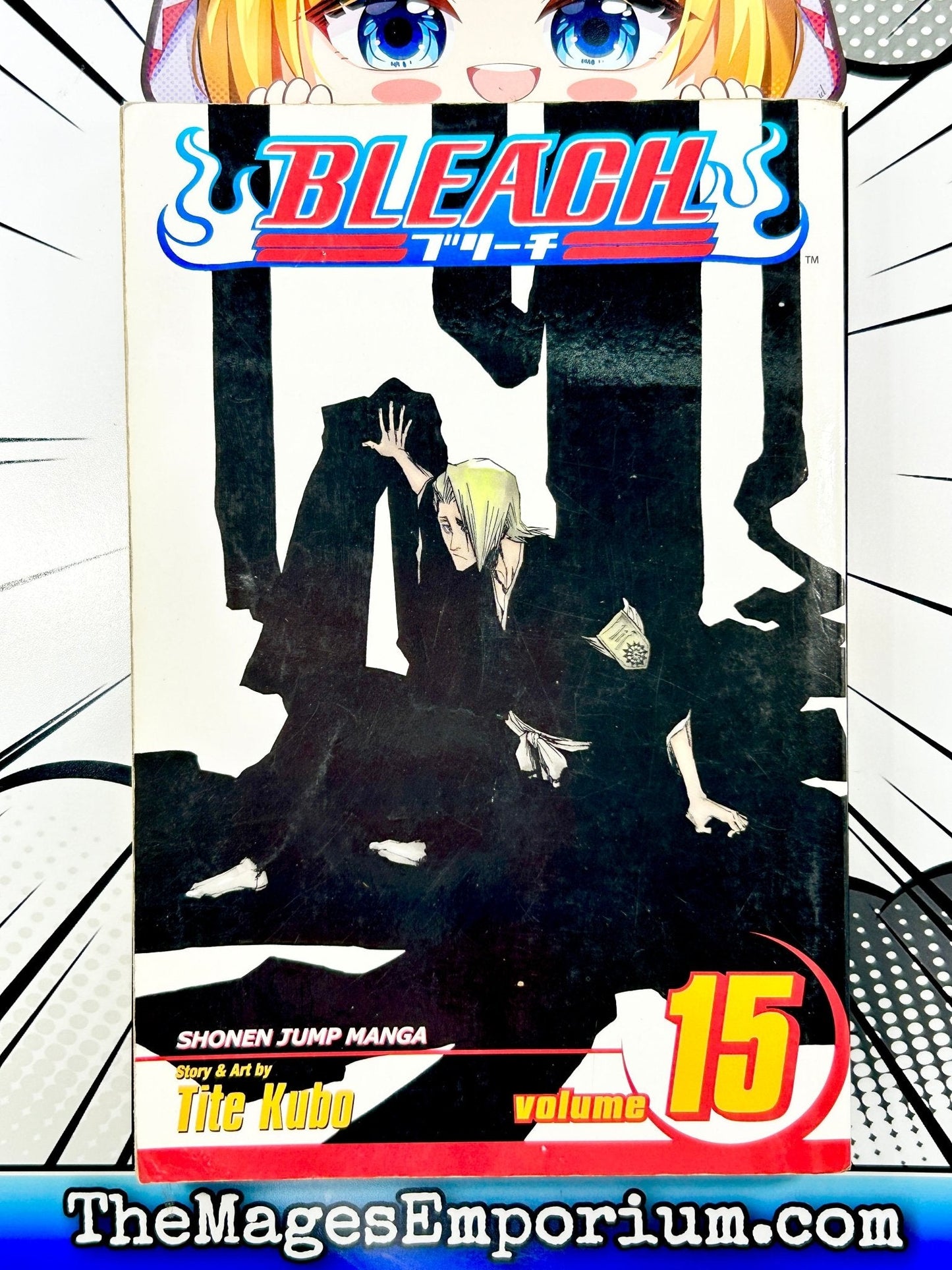 Bleach Vol 15