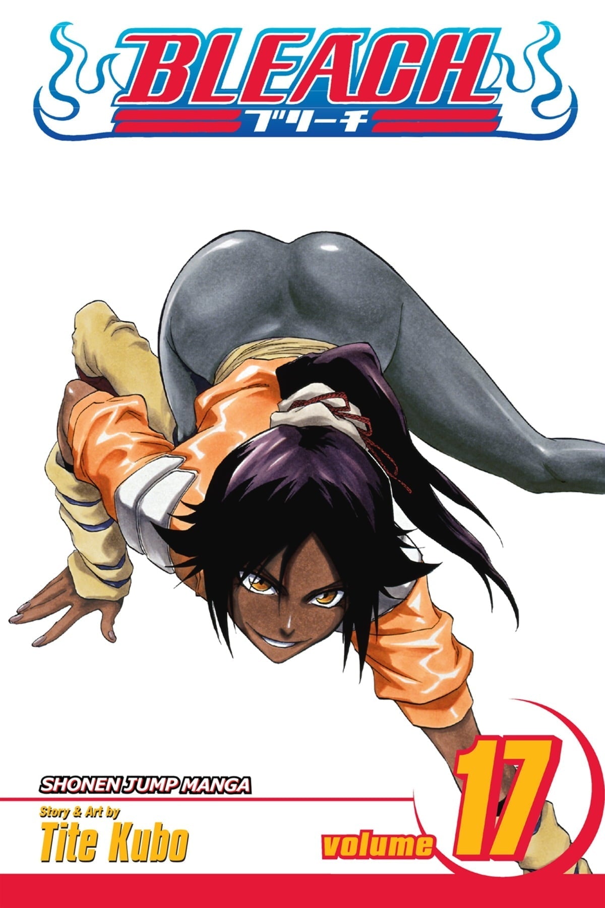 Bleach Vol 17