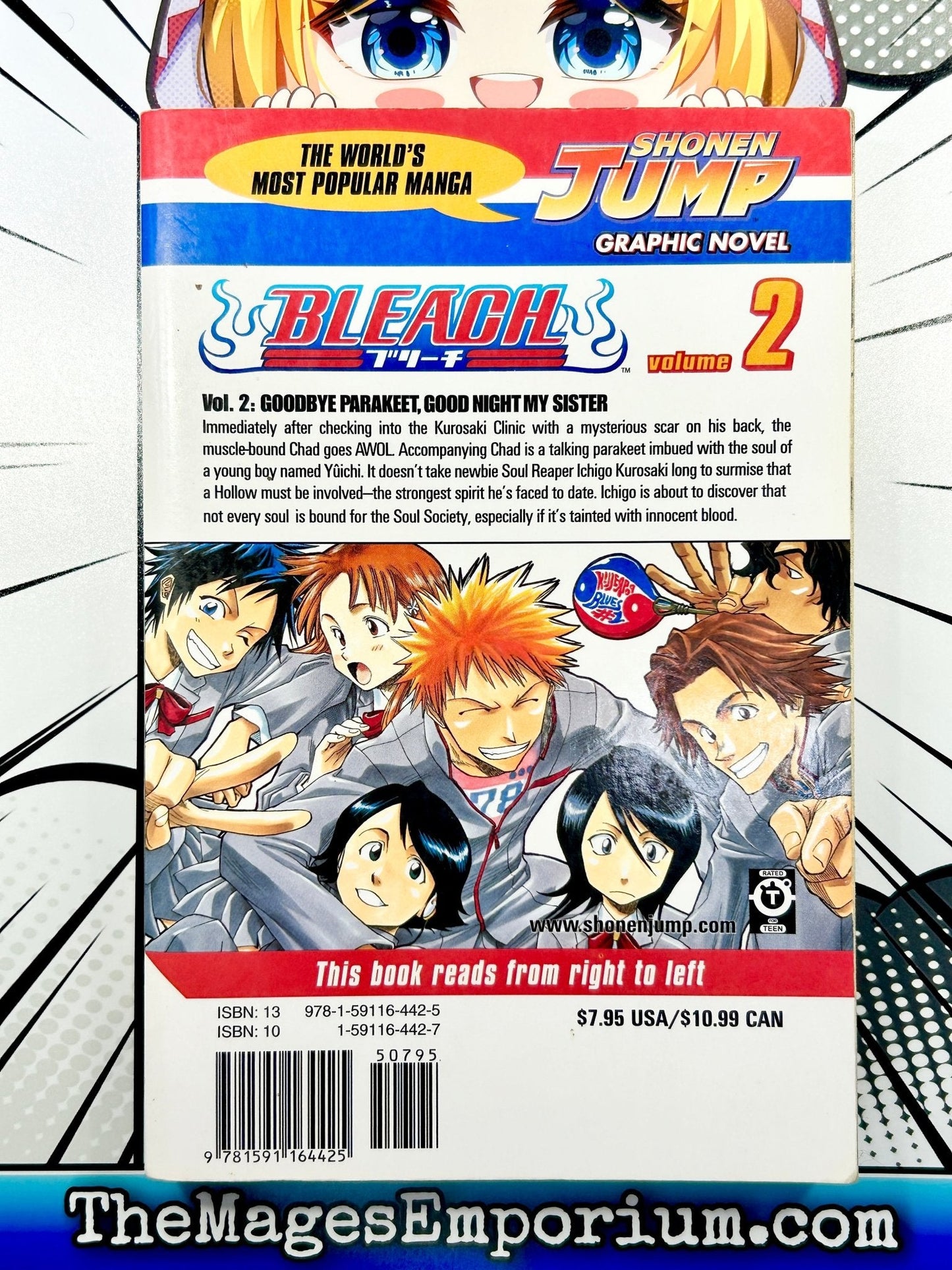 Bleach Vol 2