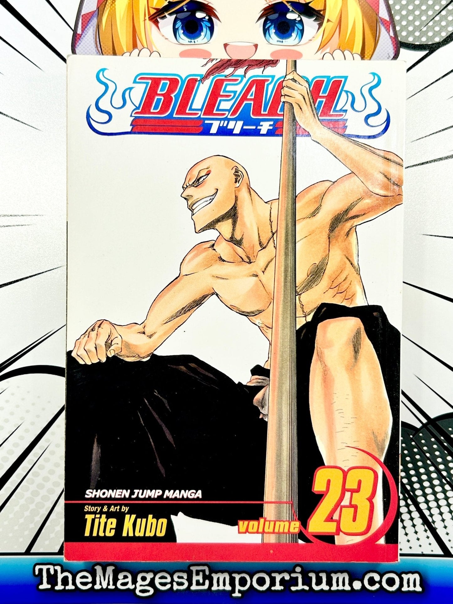 Bleach Vol 23