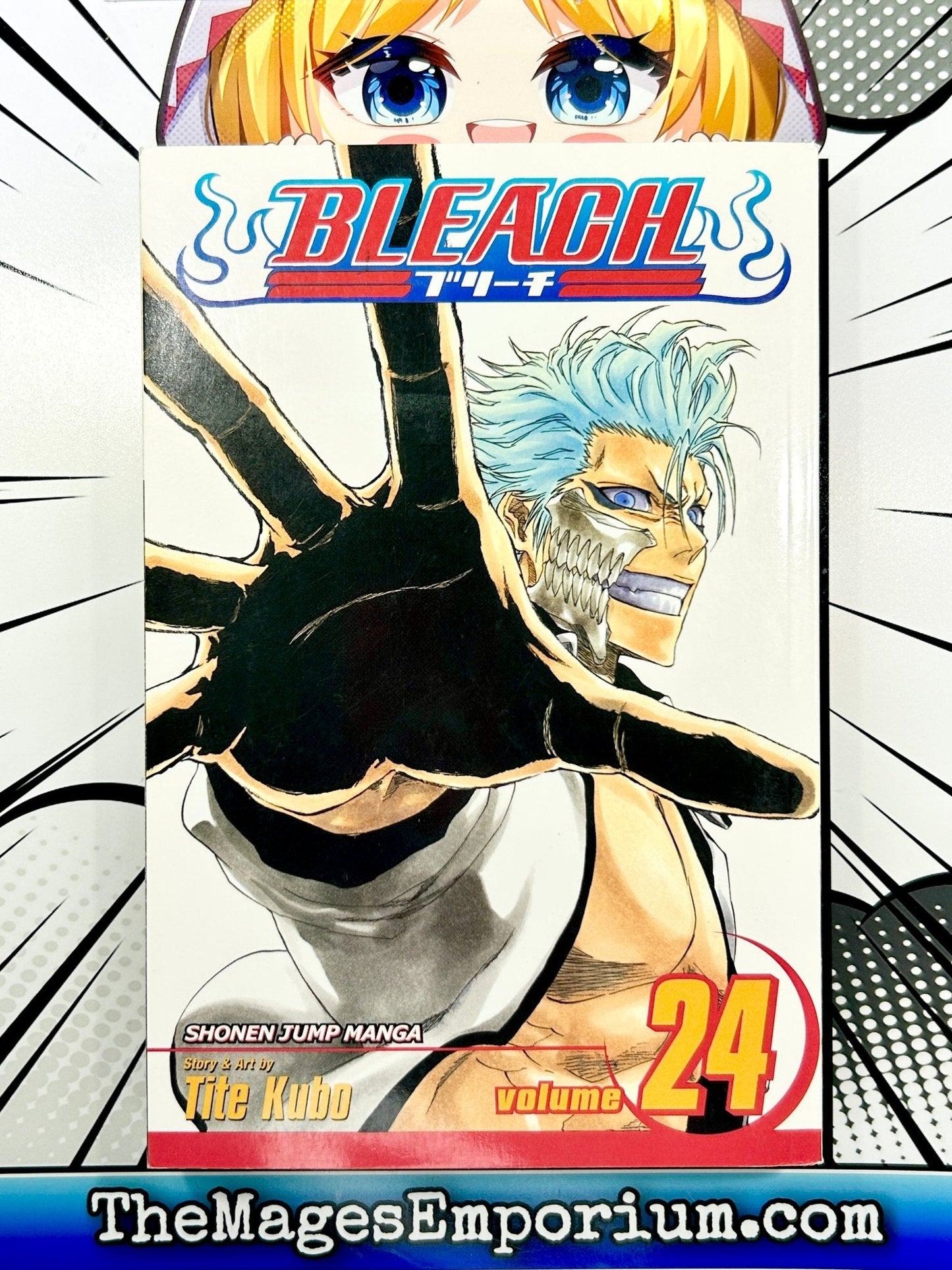 Bleach Vol 24