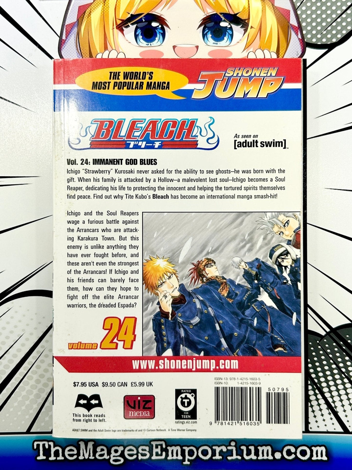 Bleach Vol 24