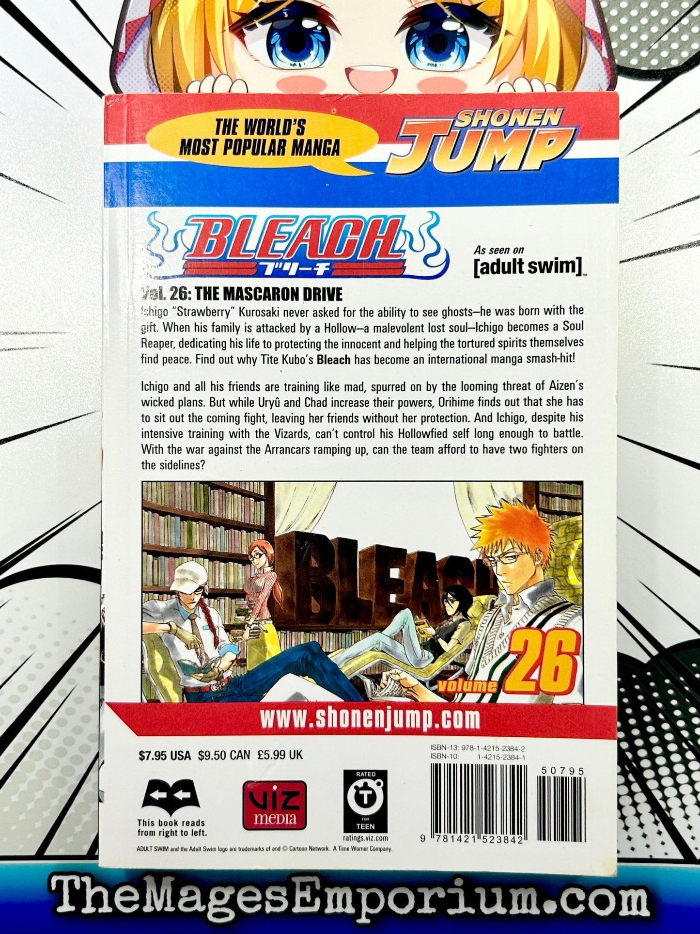 Bleach Vol 26
