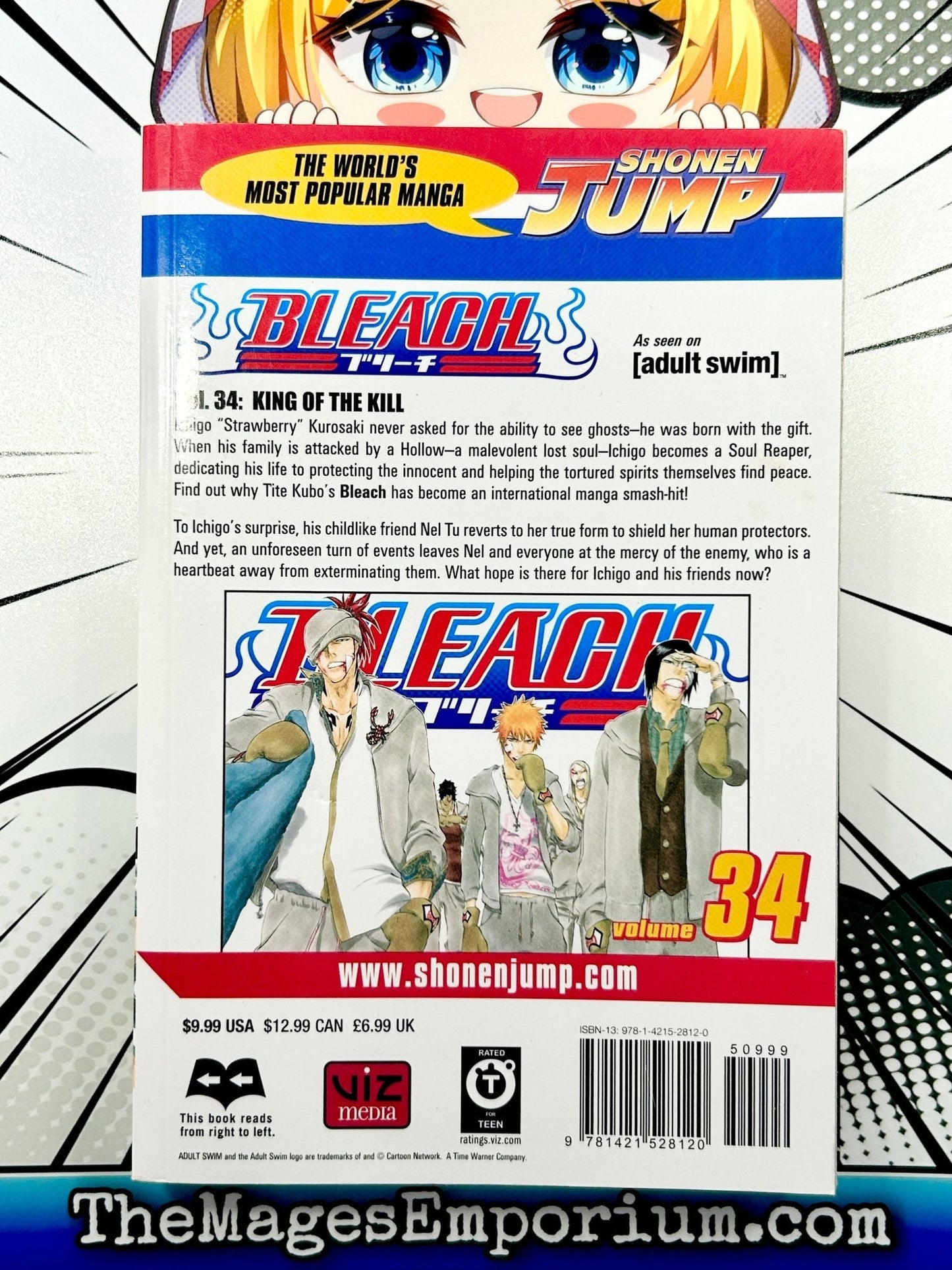 Bleach Vol 34