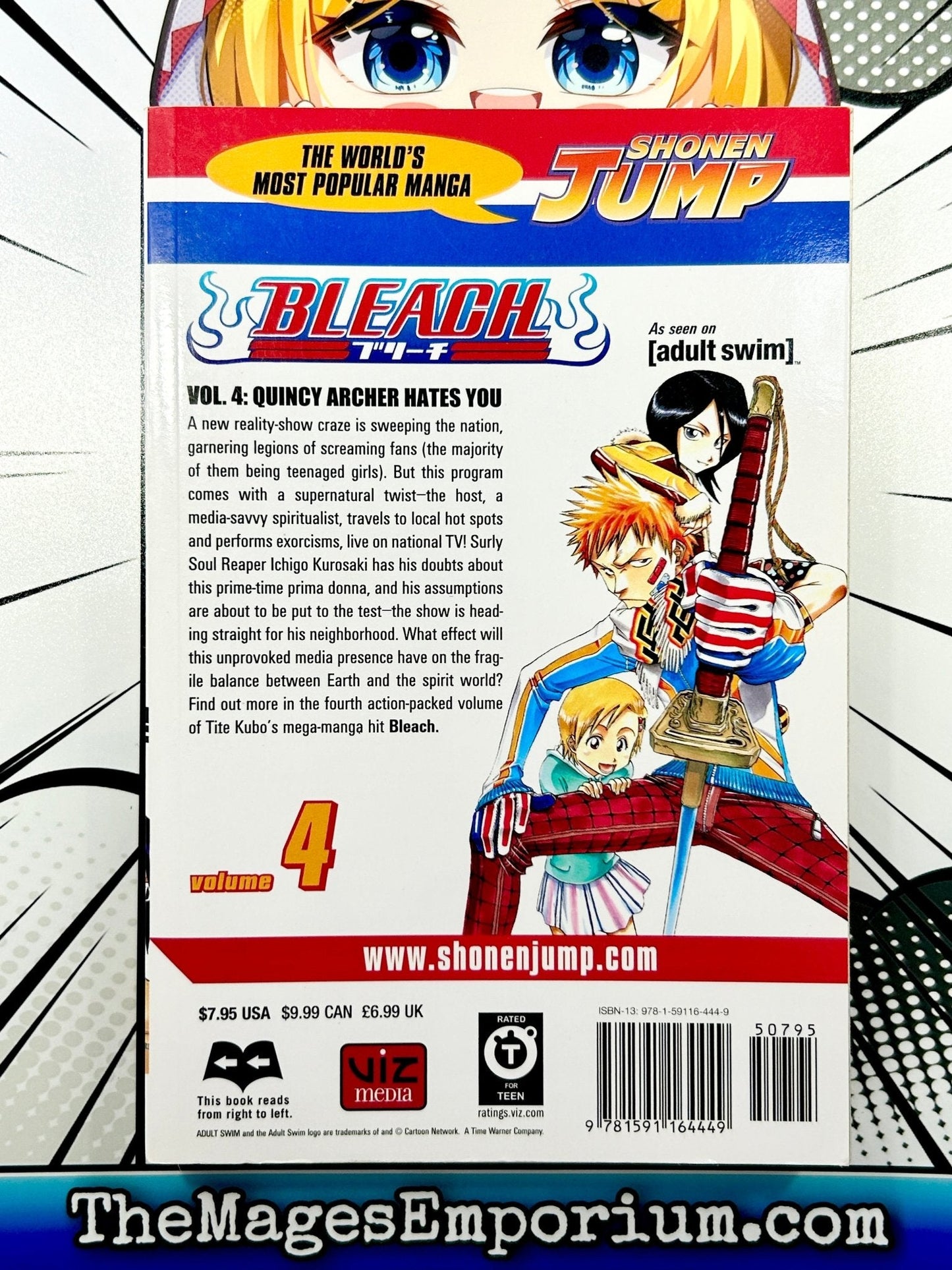 Bleach Vol 4