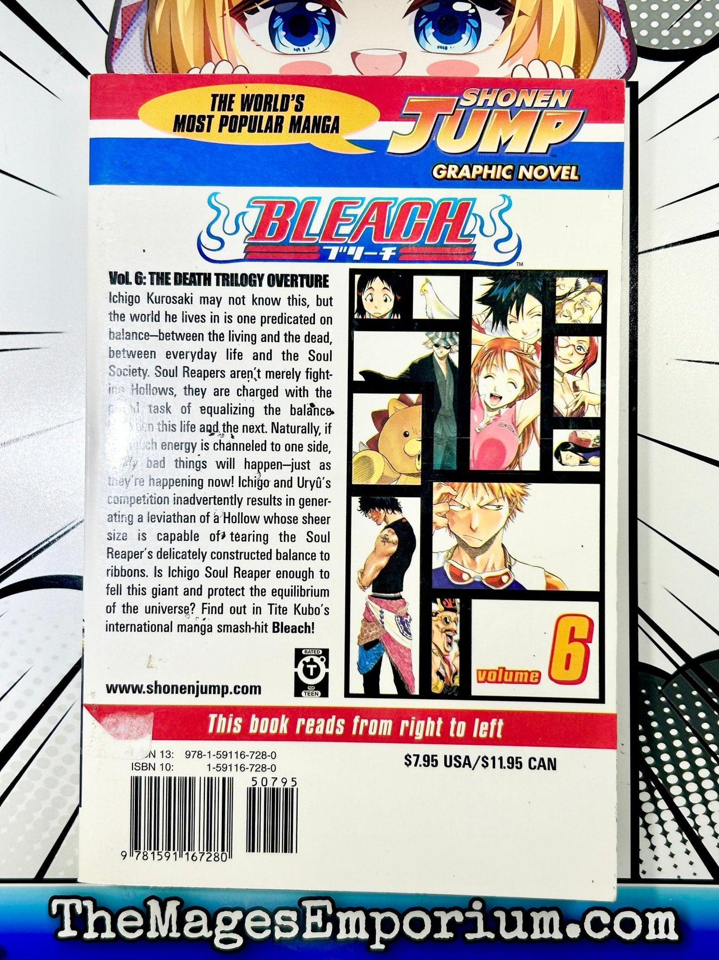 Bleach Vol 6
