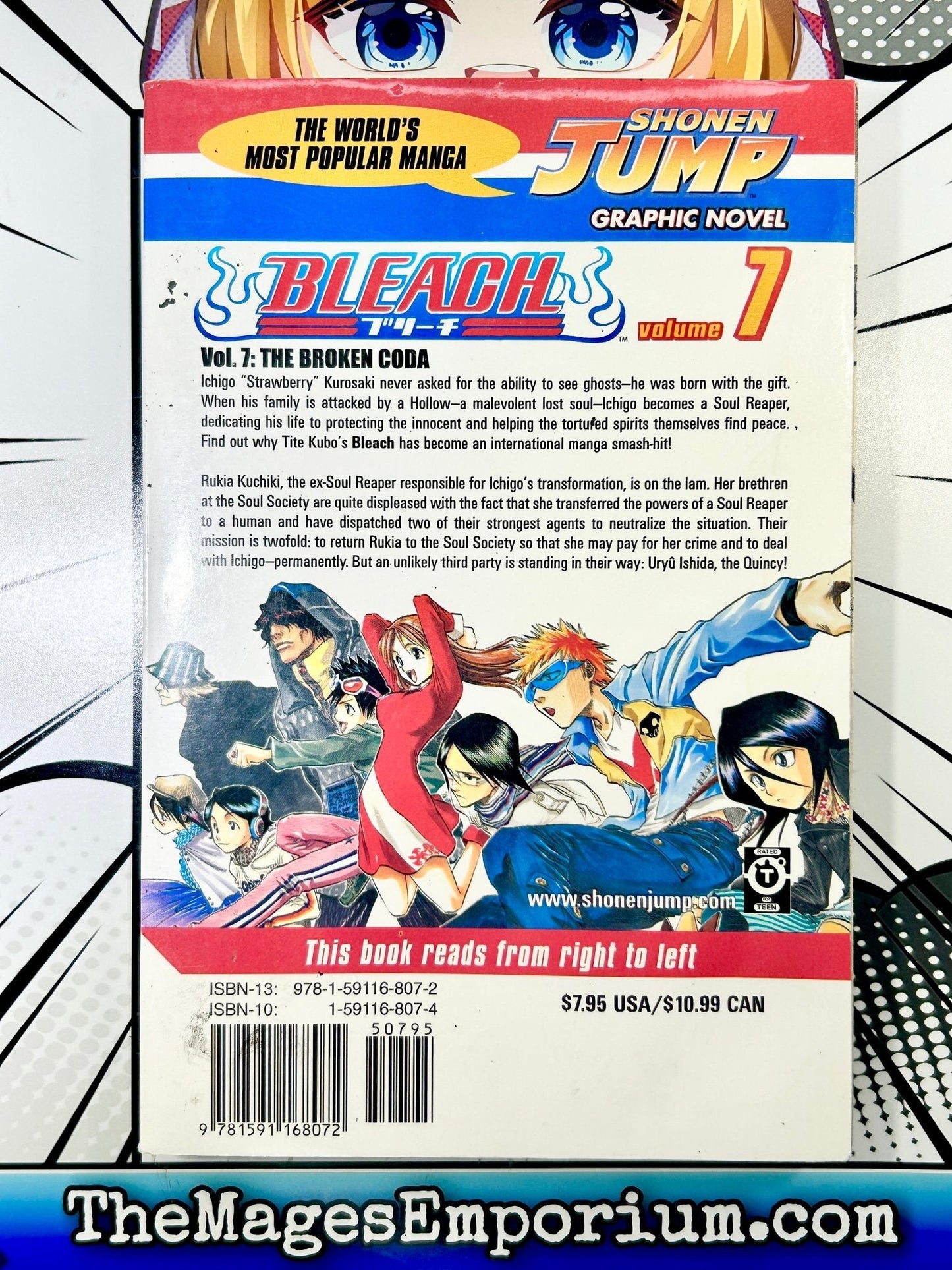 Bleach Vol 7