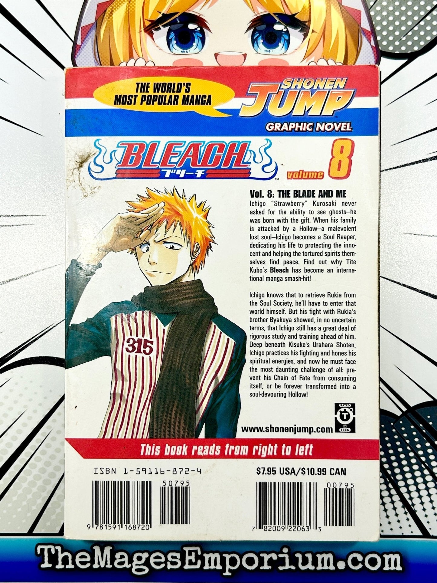 Bleach Vol 8