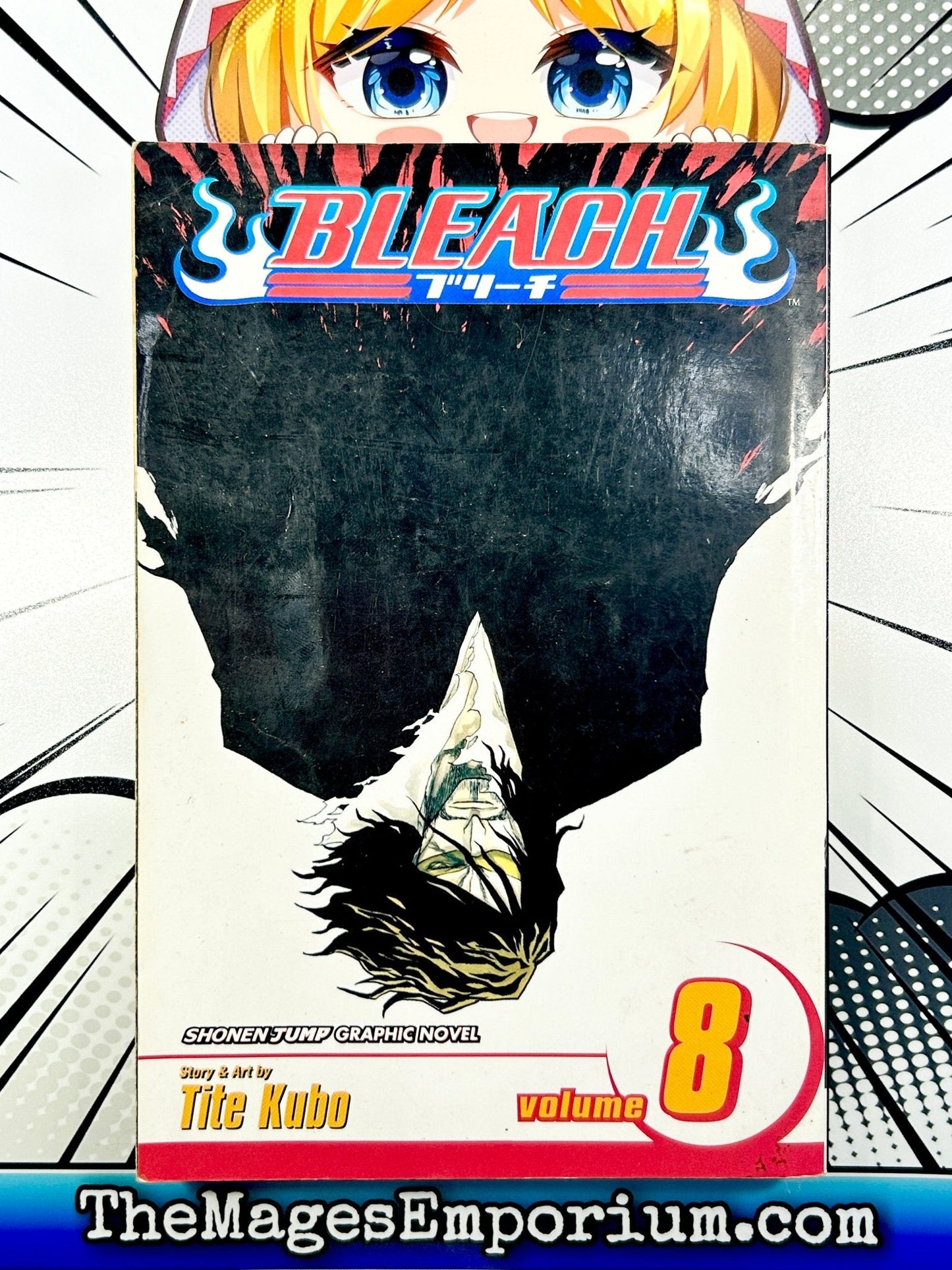 Bleach Vol 8