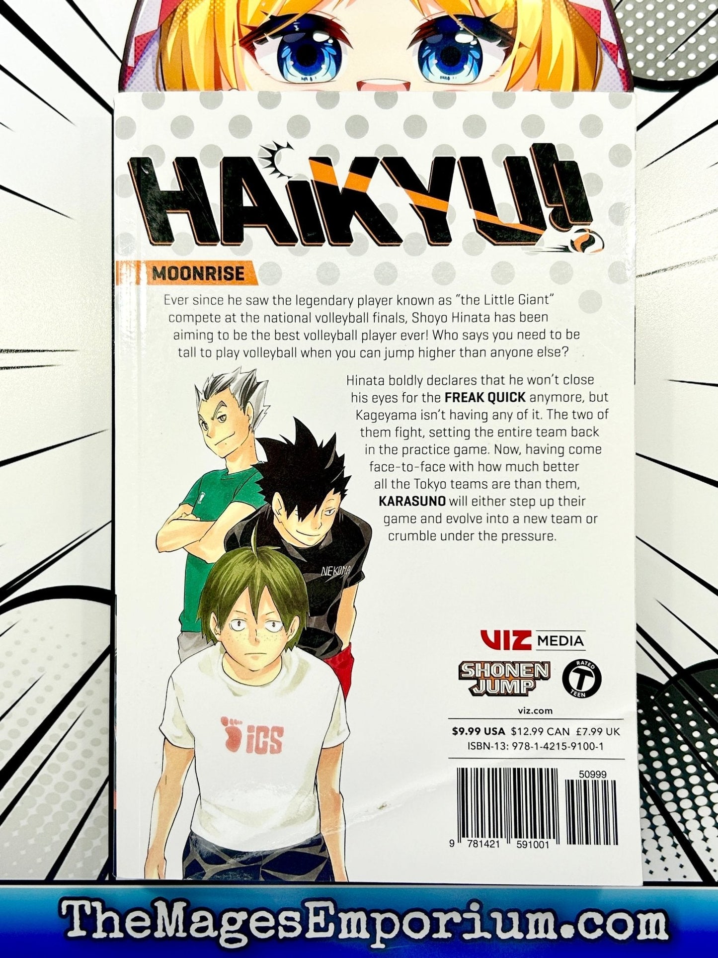 Haikyu!! Vol 10