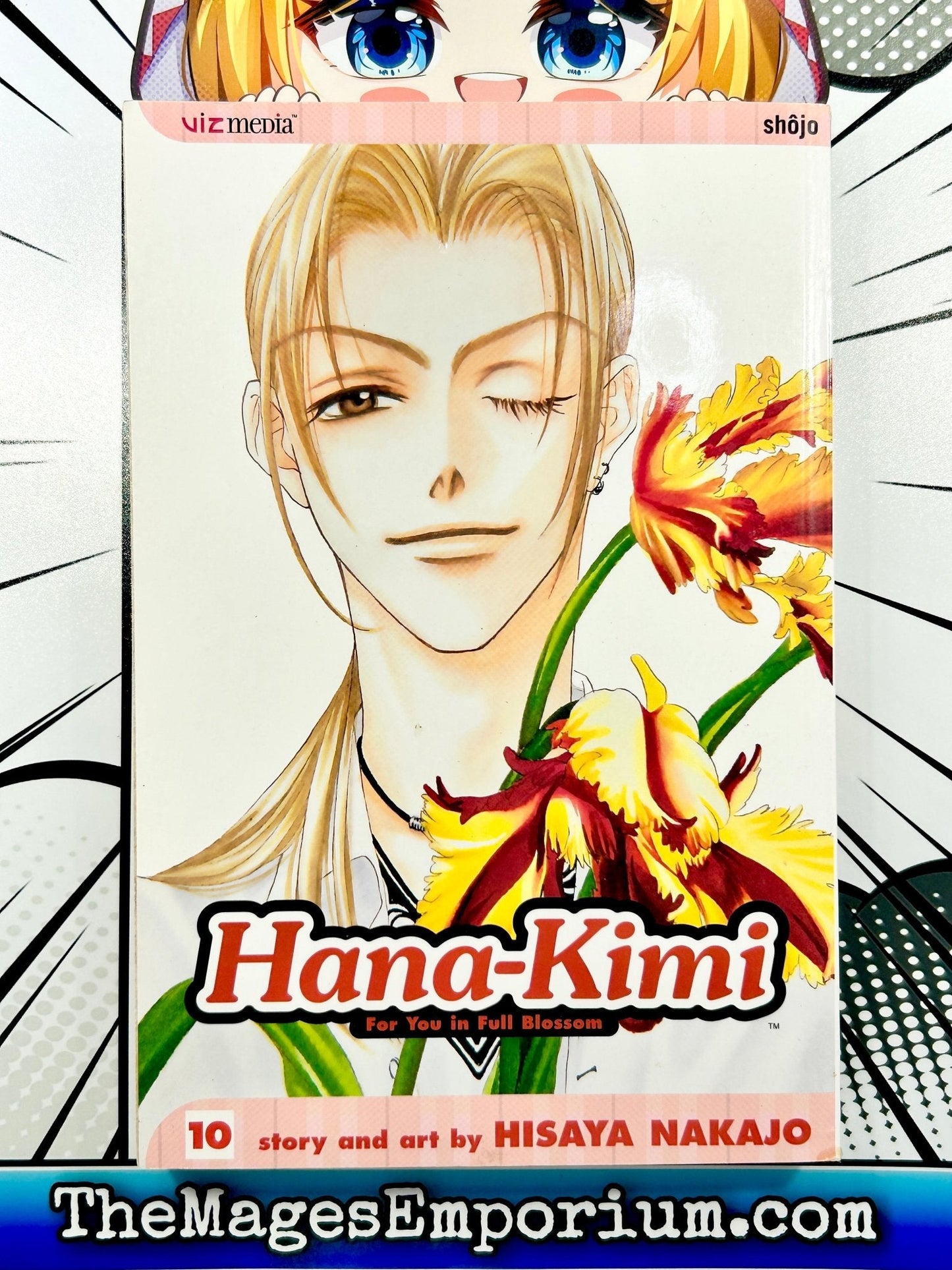 Hana-Kimi For You In Full Blossom Vol 10