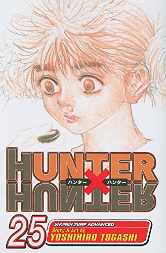 Hunter x Hunter Vol 25