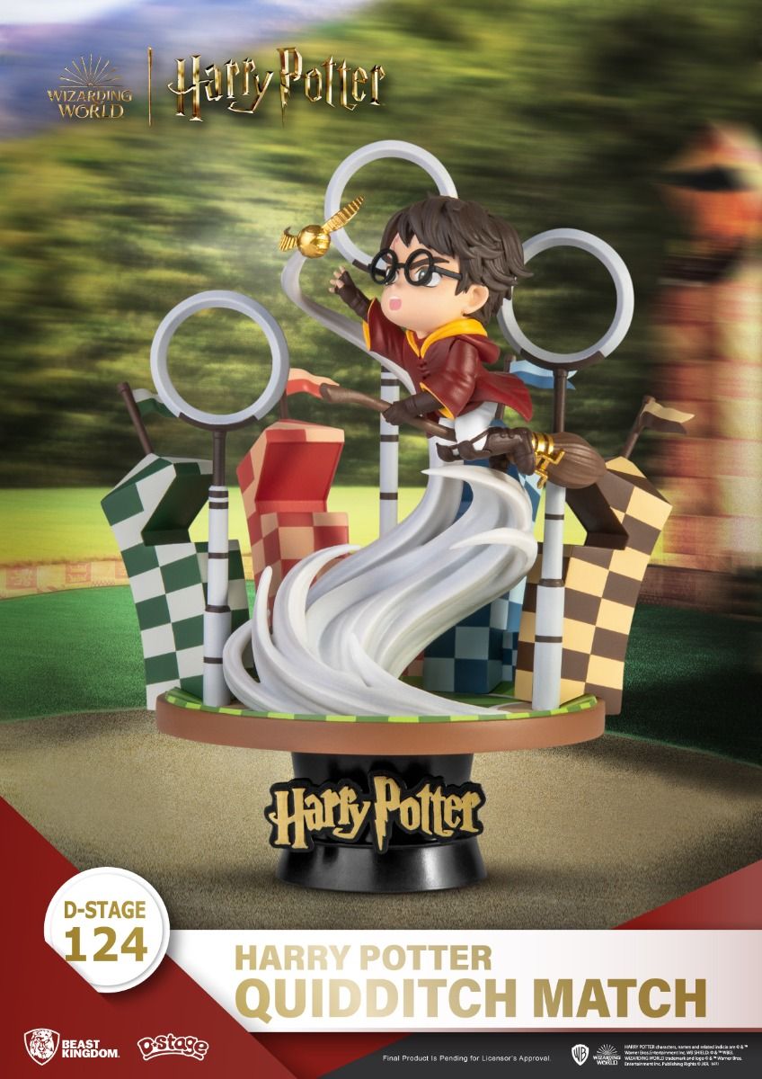 Harry Potter, Quidditch Match