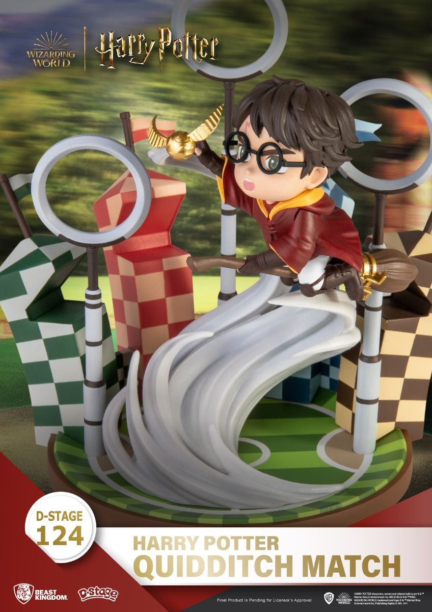 Harry Potter, Quidditch Match
