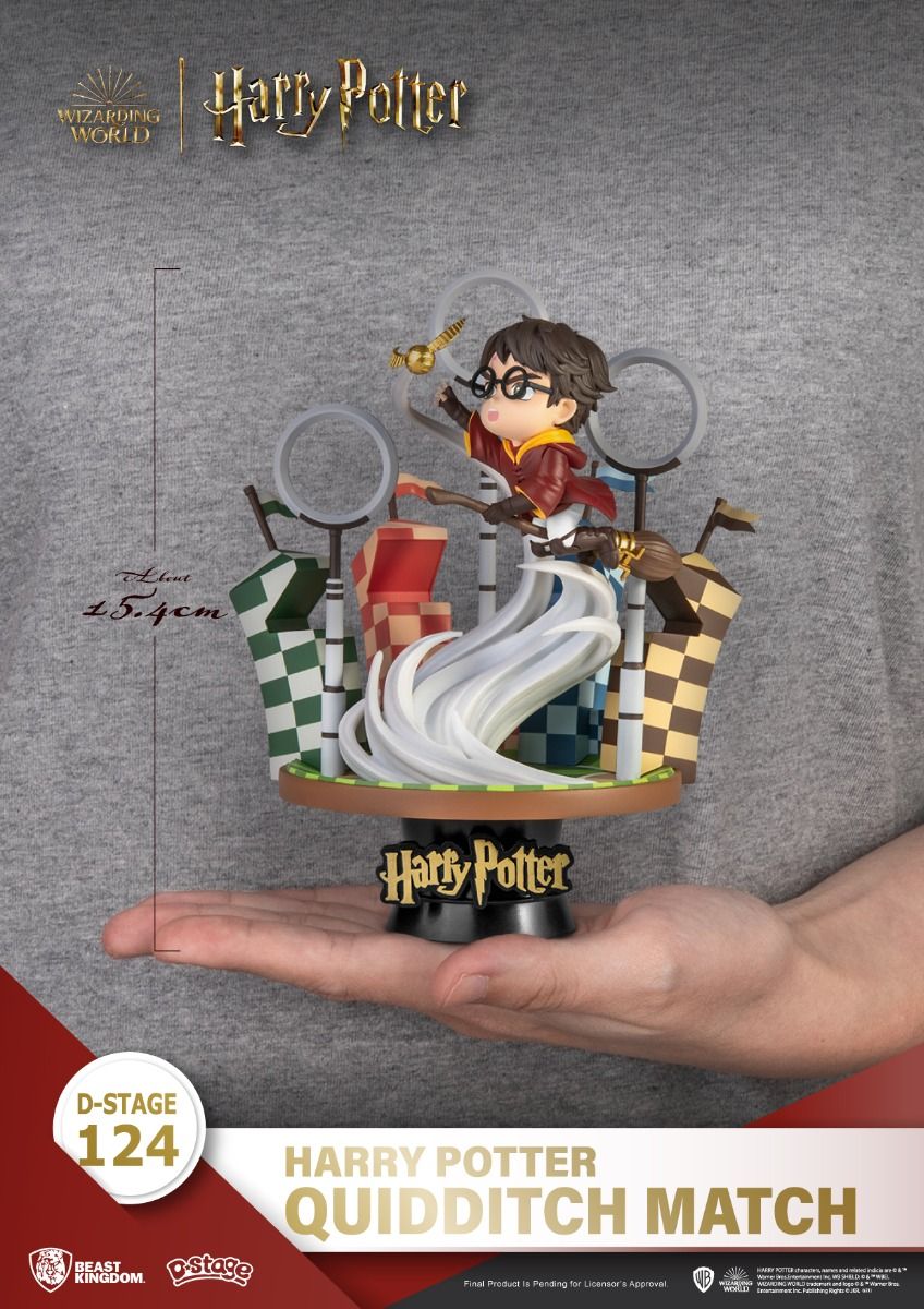 Harry Potter, Quidditch Match