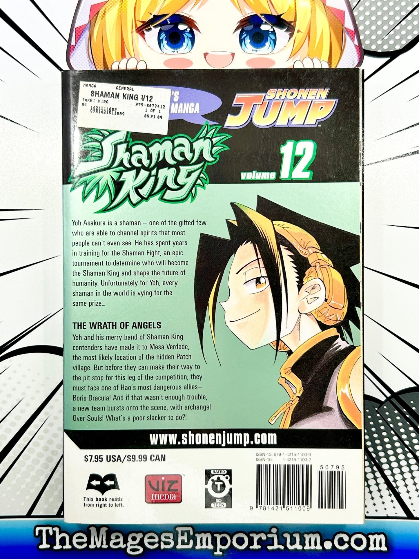 Shaman King Vol 12