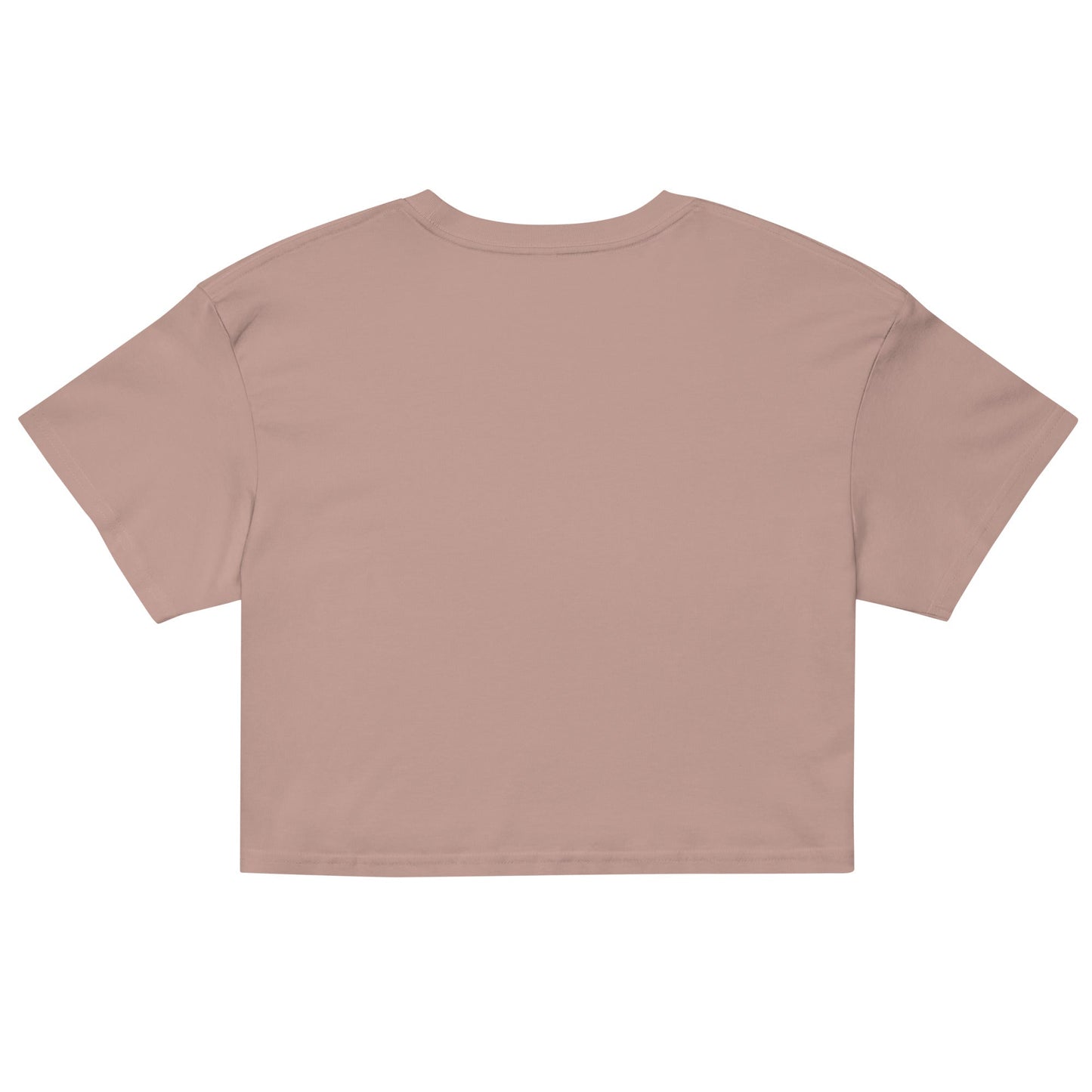 Demon Robin Unisex Anime Crop Top