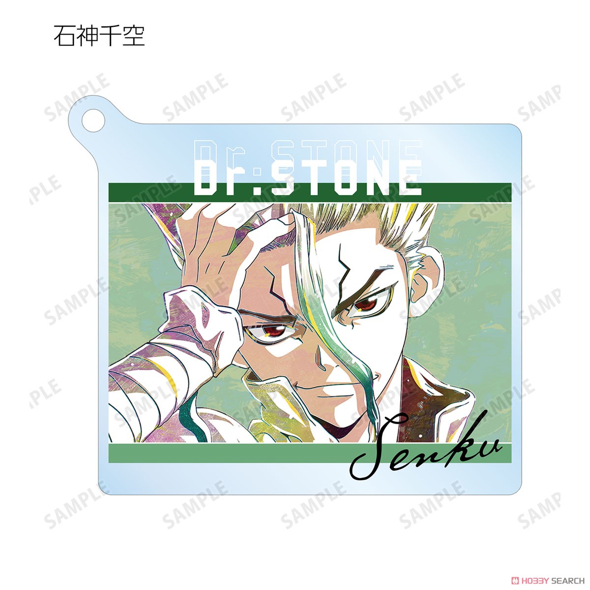 Dr.STONE Trading Ani-Art Acrylic Key Ring - Blind Box (1 Blind Box)
