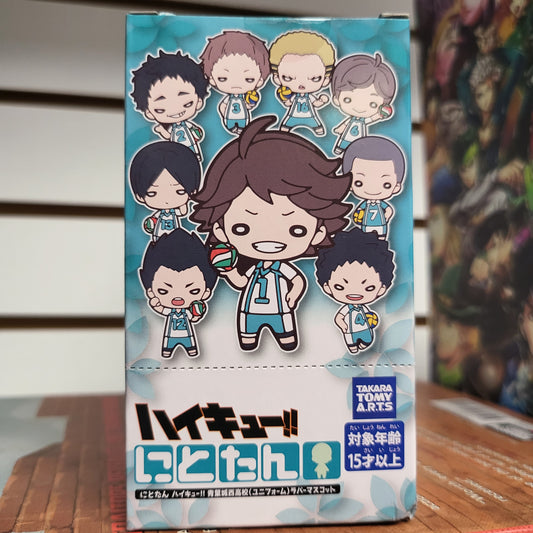 Haikyuu Rubber Keychain Blind Box Super Anime Store 