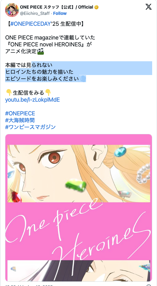 One Piece: Heroines Novels Get Anime