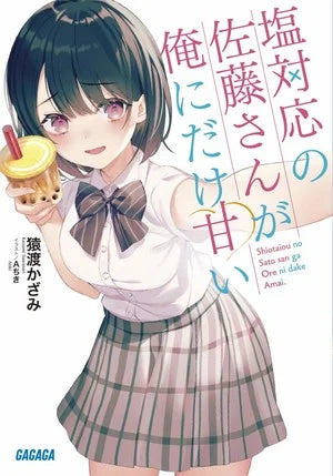 Shogakukan Plans to Release Light Novel App in U.S., Canada Using AI Translation