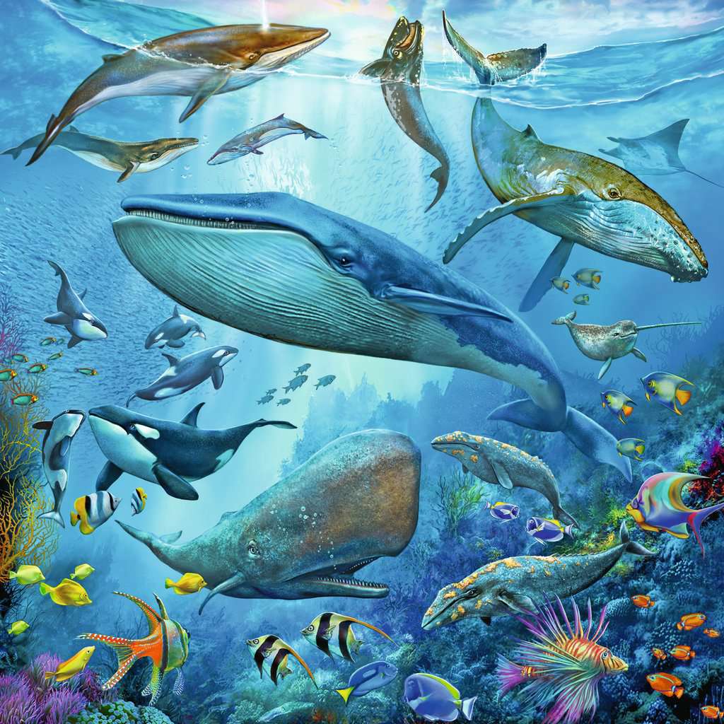 Puzzle: Ocean Life